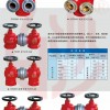 白沙牌室內(nèi)消火栓SN50  SNW65 SNZ 消防器材